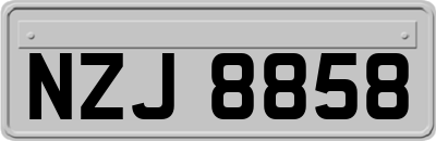 NZJ8858