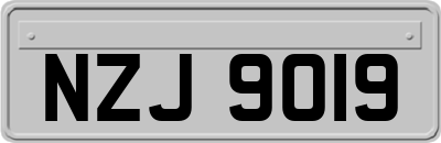 NZJ9019