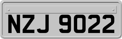 NZJ9022