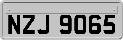 NZJ9065