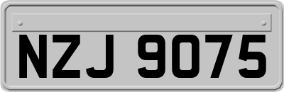 NZJ9075