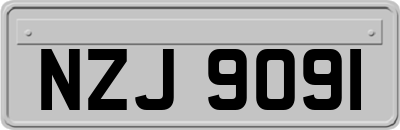 NZJ9091