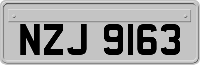 NZJ9163