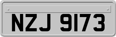 NZJ9173