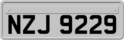 NZJ9229