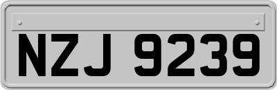 NZJ9239
