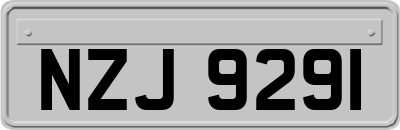 NZJ9291