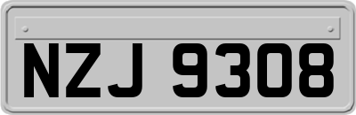 NZJ9308