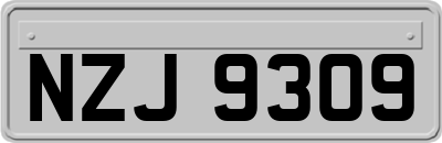 NZJ9309