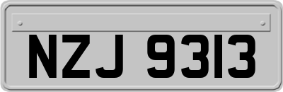 NZJ9313