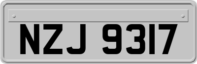 NZJ9317