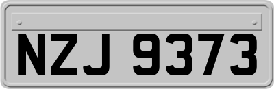 NZJ9373