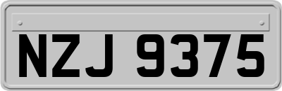NZJ9375