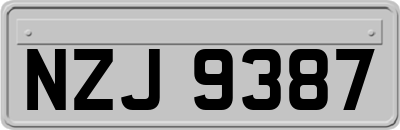 NZJ9387