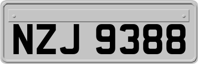 NZJ9388