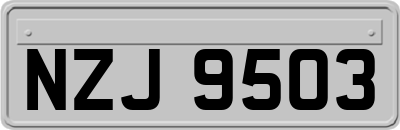 NZJ9503