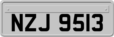 NZJ9513