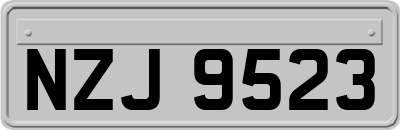 NZJ9523