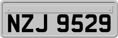 NZJ9529