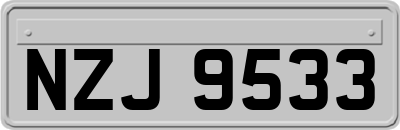 NZJ9533