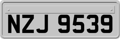 NZJ9539