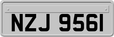 NZJ9561