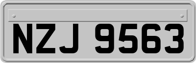 NZJ9563