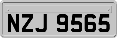 NZJ9565