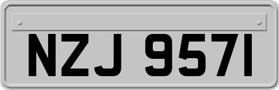 NZJ9571