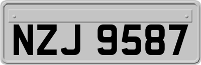NZJ9587