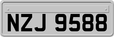 NZJ9588