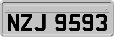 NZJ9593