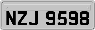 NZJ9598