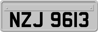 NZJ9613
