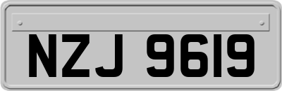 NZJ9619
