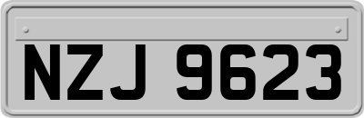 NZJ9623