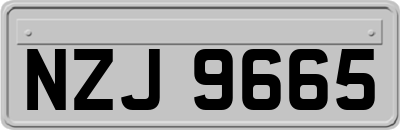 NZJ9665