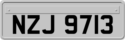 NZJ9713