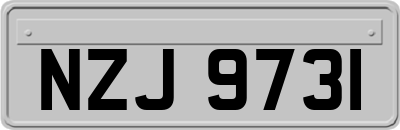 NZJ9731