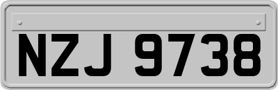 NZJ9738
