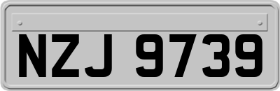NZJ9739
