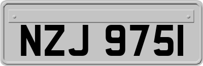 NZJ9751
