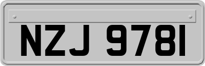 NZJ9781