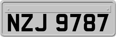 NZJ9787