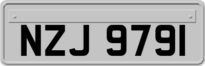 NZJ9791