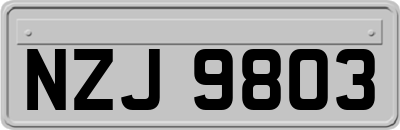 NZJ9803