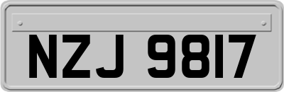 NZJ9817