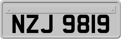 NZJ9819