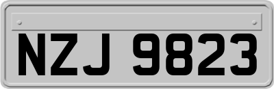 NZJ9823