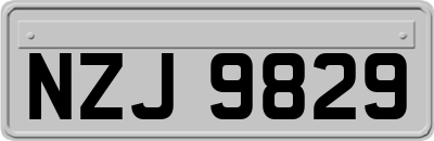 NZJ9829